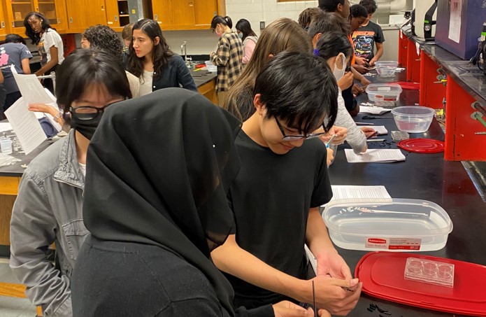 students working in a lab